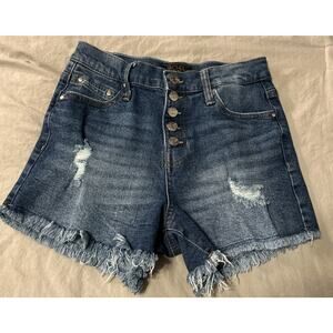 Rachel Roy Womens Jean Shorts Sz 6/28 Denim Raw Hem Button Fly Closet Basic